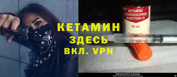 шишки Аркадак