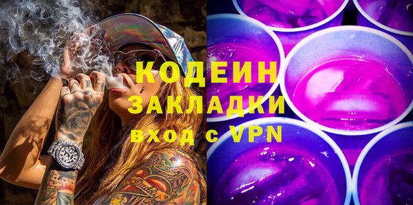 шишки Аркадак