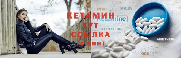 твердый Арсеньев