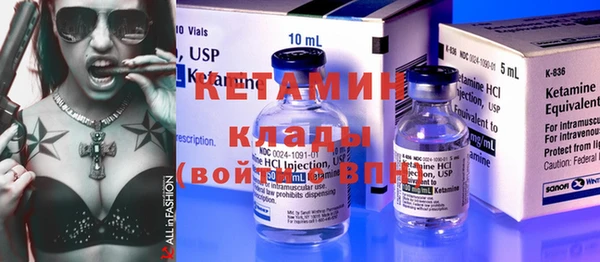 шишки Аркадак