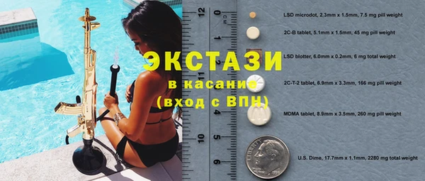 твердый Арсеньев