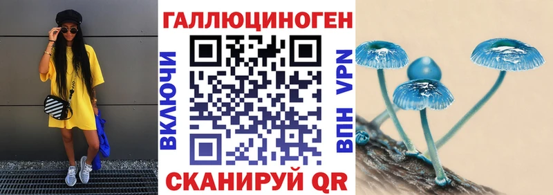 наркота  Кочубеевское  Галлюциногенные грибы мицелий 